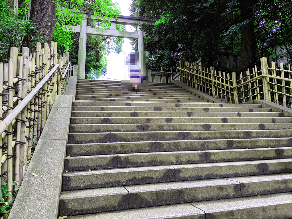 渋谷氷川神社、御朱印